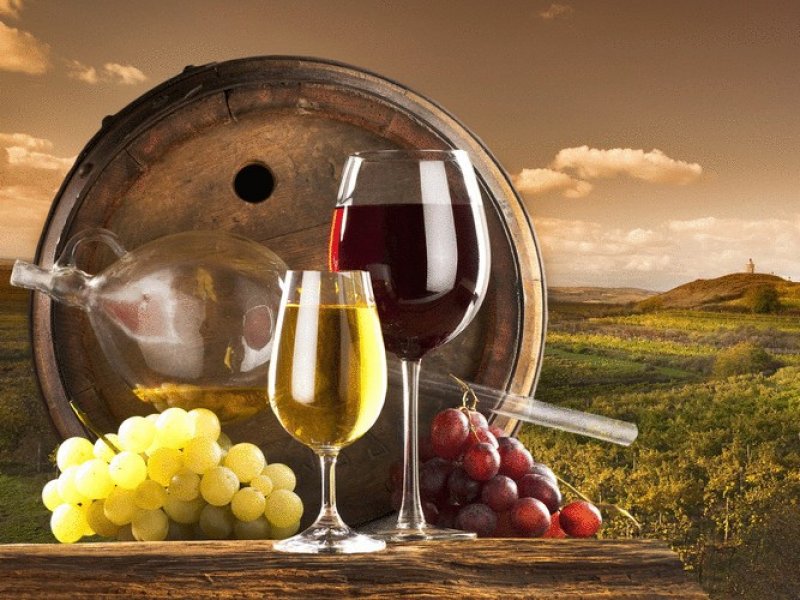 В России вступил в силу закон о виноградарстве и виноделии
