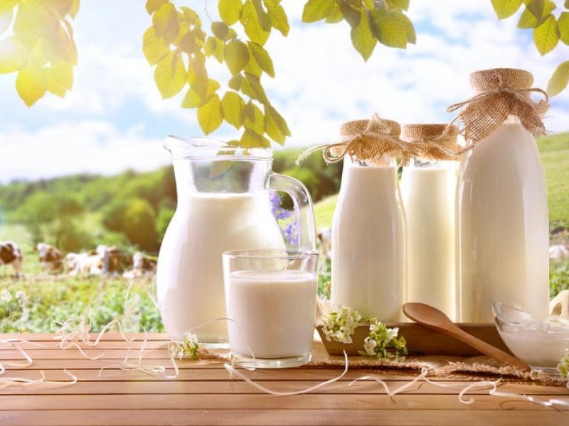 На Кубани объем производства молока превысил 1,1 млн тонн