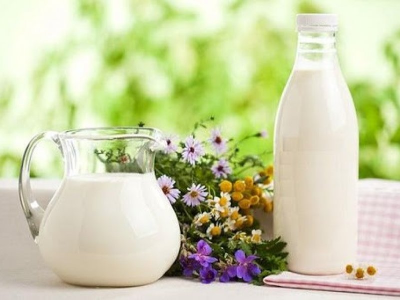 Краснодарский край занял второе место в России по производству молока