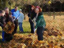 2 ноября в Тимашевске - общегородской субботник! 