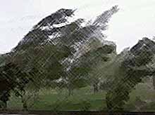 На Кубани из-за сильного ветра объявлено экстренное предупреждение