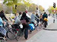 Сумасшедщее велосипедное движение в Нидерландах (Видео)