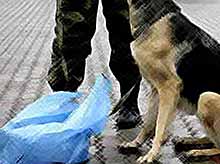 Как в Тимашевске в МФЦ искали\&quot;бомбу\&quot;