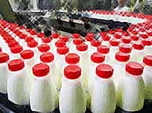 В Краснодарском крае в 2017 году производство молока выросло на 1,8%

