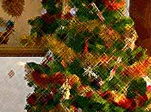 Новый год: Как украсить елку, чтобы сбылись мечты?
