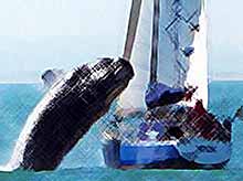 40-тонный кит \&quot;приласкал\&quot; 10-метровую яхту, приняв её за подружку