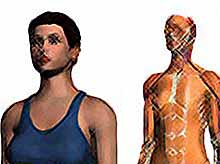  Google  создал трехмерный атлас человека