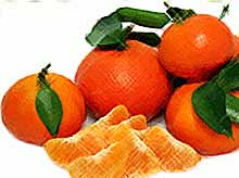 Апельсины и мандарины подешевеют к праздникам 

