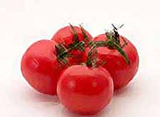 
Турция  в октябре может начать поставки томатов в Россию