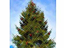 В центре Тимашевска  нарядили Елку