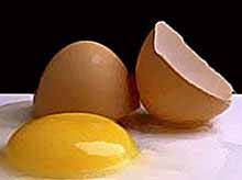 Одним из самых полезных продуктов, признаны куриные яйца