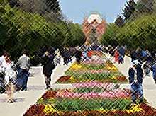 Краснодар занял 5 место в рейтинге счастливых городов России
