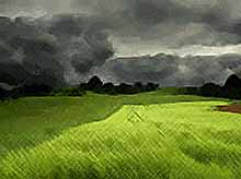 
Сегодня на Кубани прогнозируются ливни и грозы 