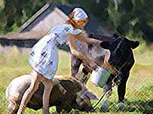 Сегодня, 15 октября, Всемирный день сельских женщин