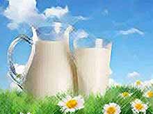На Кубани производство молока до 2030 года должно вырасти до 2,3 млн тонн