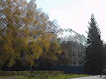 
В Краснодаре за 8 лет сократилось 300 га зеленых зон