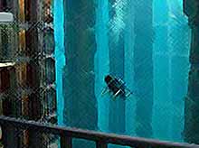 Внутри отеля - самый большой в мире аквариум