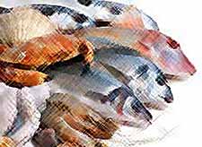 

ФАС обратилась в Росрыболовство  о причине  завышения цен на морепродукты 