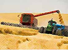 На Кубани завершается уборка зерна.