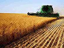 Россия стала важным игроком на мировых сельскохозяйственных рынках