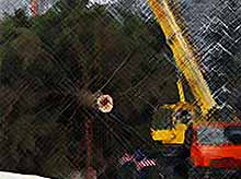 Главная елка России отправилась в Москву