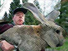 Фермерам и владельцам ЛПХ Тимашевска предлагают заняться альтернативным животноводством