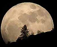 Жители Краснодарского края смогут  наблюдать супер-Луну