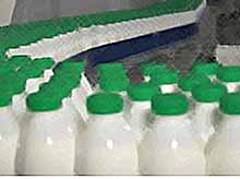 Молоко в пластмассовых бутылках признали крайне опасным
