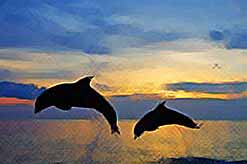 Дельфины одни из самых загадочных животных на нашей планете.
(видео)