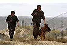Пограничник Сочи выявили порядка 500 нарушителей правил пограничного режима  