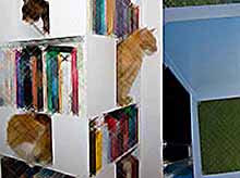  Шкаф для книг и котов в вашем доме.
