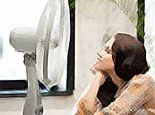 Как пережить жару без кондиционера