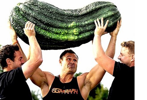 Самые большие овощи в Мире